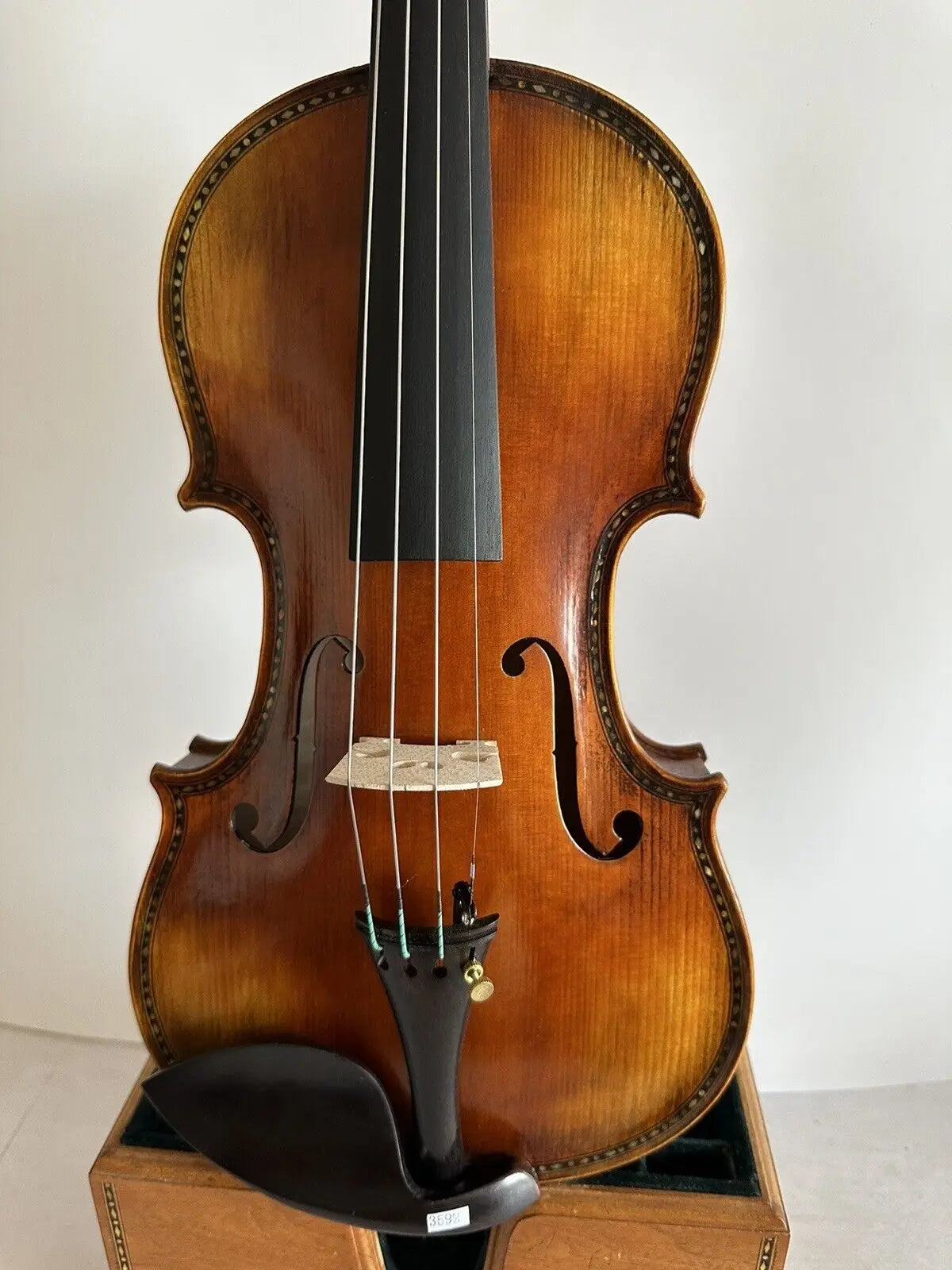 Master 4/4 violin Hellier Model flamed maple back spruce top Shell Inlay K3592