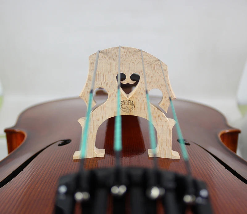 MMOOKA Master Level!! Lucia Grancino-Strong Wide Deep Tone cello, 1700 cello, Strong Tone