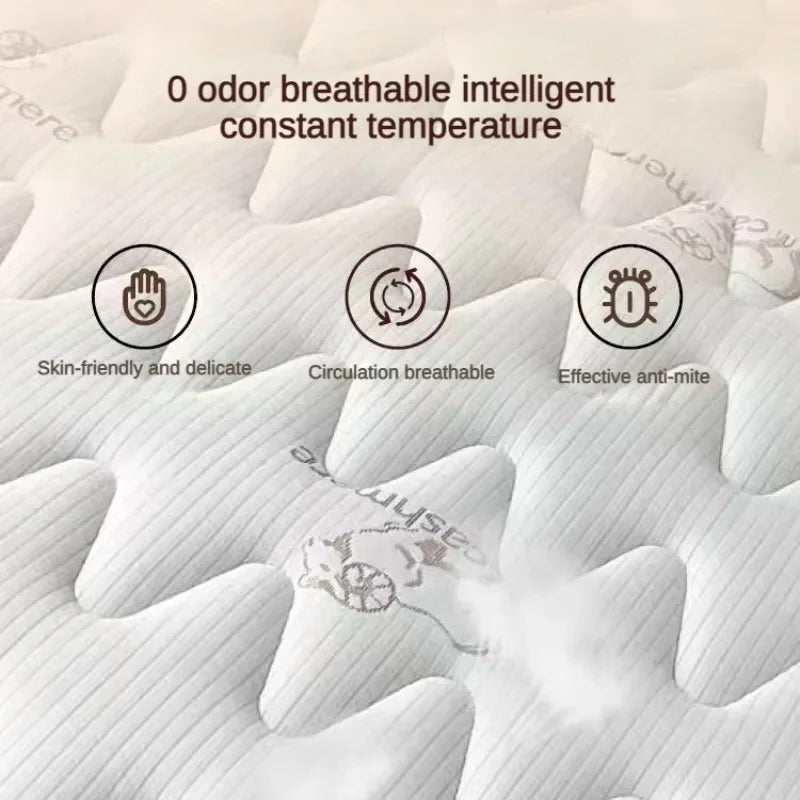 Mattress Soft and Hard Dual-purpose Latex Coconut Brown Spring for Household Dormitory Economy 20CM Upscale Bedroom Furniture