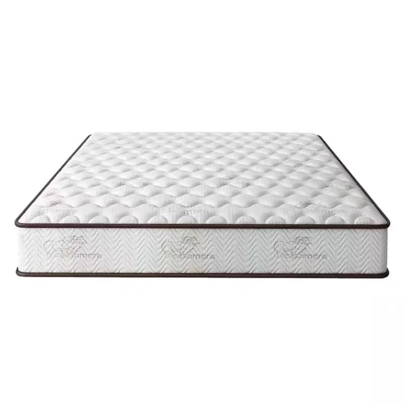 Mattress Soft and Hard Dual-purpose Latex Coconut Brown Spring for Household Dormitory Economy 20CM Upscale Bedroom Furniture