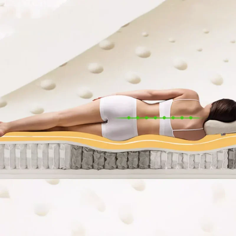 Minimalist Bed Mattress High Industrial Quality Latex Bedroom Tatami Creative Mattresses Foldable Matelas De Sol Sleep Furniture