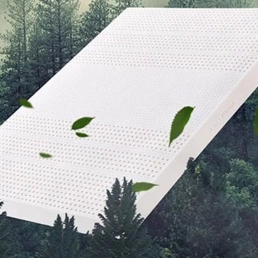 Mite Removal Mattress Molblly Bed High Quality Floor Queen Bedroom Mattresses Latex Sleep Foldable Colchoneta Home Furniture
