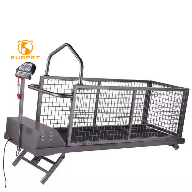 Multifunctional Folding Cheap Cat Animal Motorized dog treadmill walking machine Dog Pet treadmill Runway length 2000mm