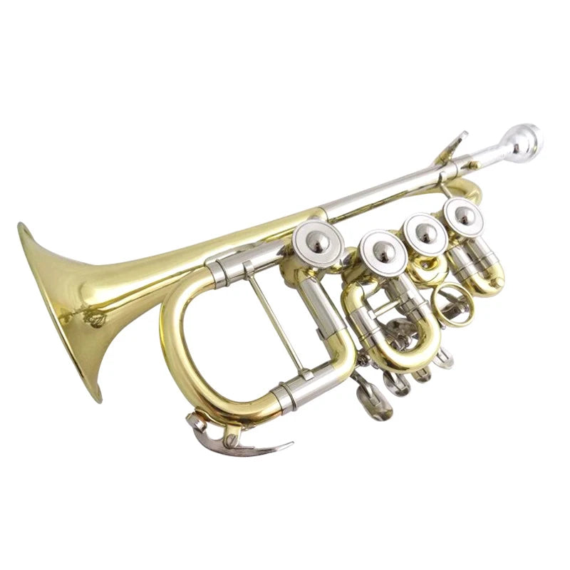 Musical Instruments Rotary Trumpet B Flat with Extra Cupronickel Leadpipe Silver Plated Yellow Brass with Case Mouthpiece