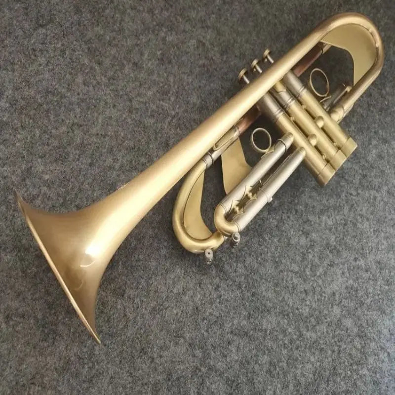 New  trumpet TR198GS concert exclusive, high-end trumpet, complete instrument accessories