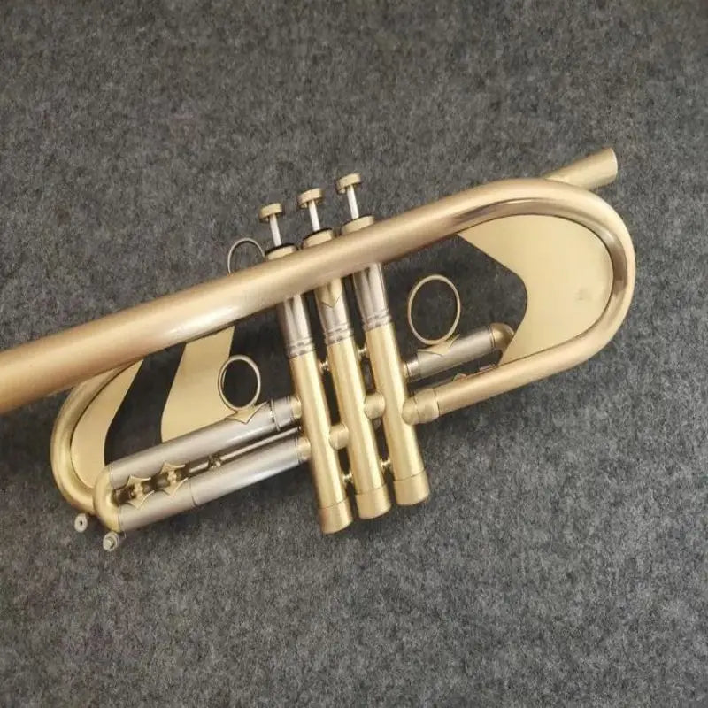 New  trumpet TR198GS concert exclusive, high-end trumpet, complete instrument accessories