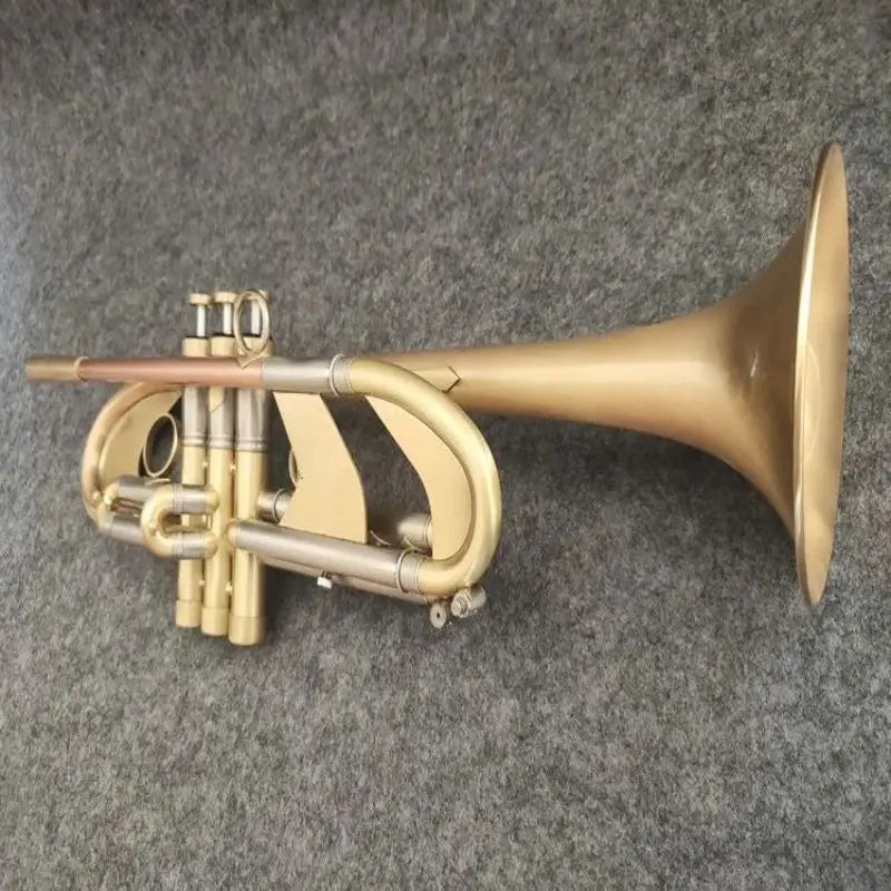 New  trumpet TR198GS concert exclusive, high-end trumpet, complete instrument accessories
