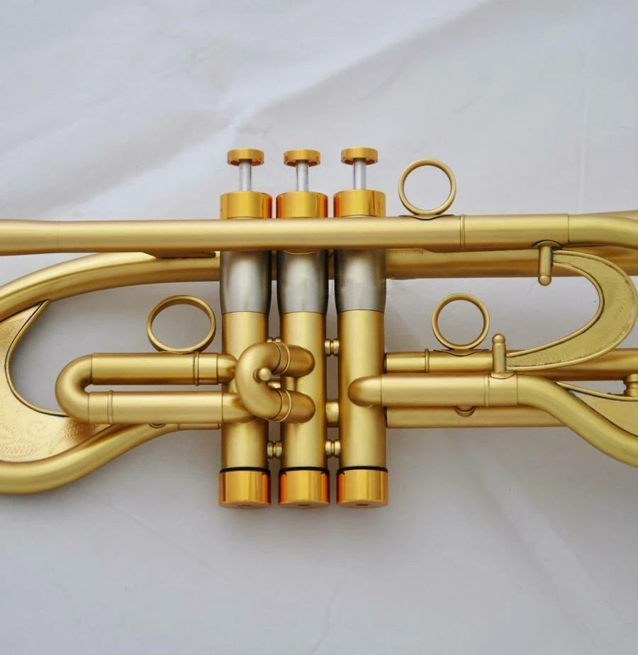 Professional Bb Trumpet Customized Flumpet Horn Matt Finish With Case
