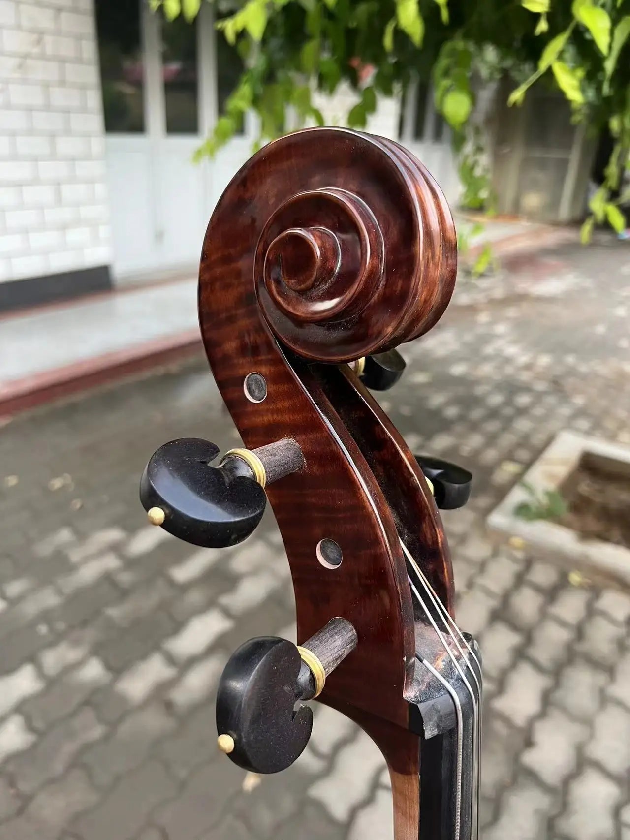 MMOOKA Rare Professional song Cello 4/4 Solid Bird eye maple back old spruce top#15715