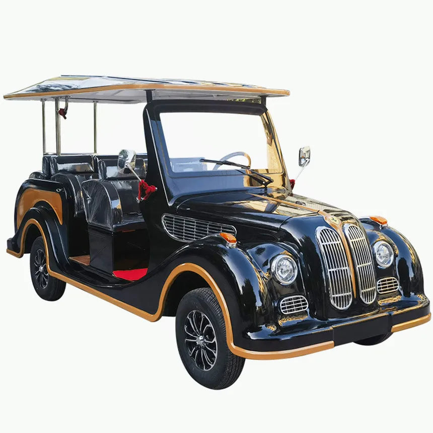 ANTNX Street Legal Support Custom Electric Golf Cart Adult Electric Car Electric Classic Car With Speaker Mini For Family And Hunting ANTNX.COM