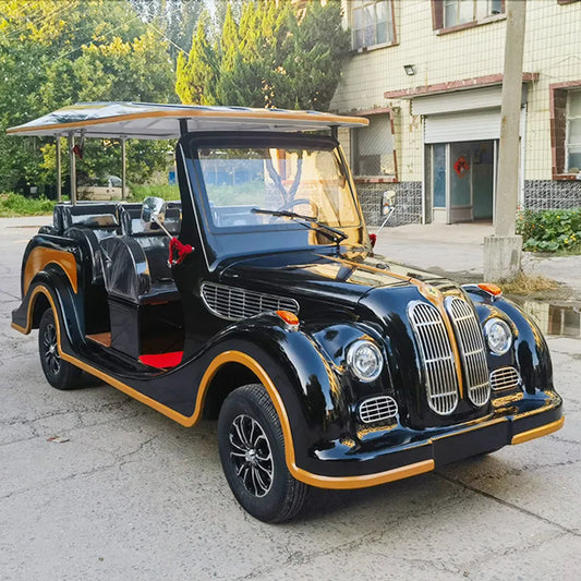 ANTNX Street Legal Support Custom Electric Golf Cart Adult Electric Car Electric Classic Car With Speaker Mini For Family And Hunting ANTNX.COM
