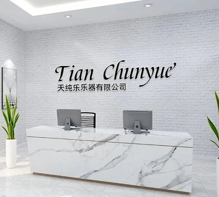 High Quality Brand Wind Instrument for Beginners Yamahas YCL -355 Standard Level Clarinet in B Flat