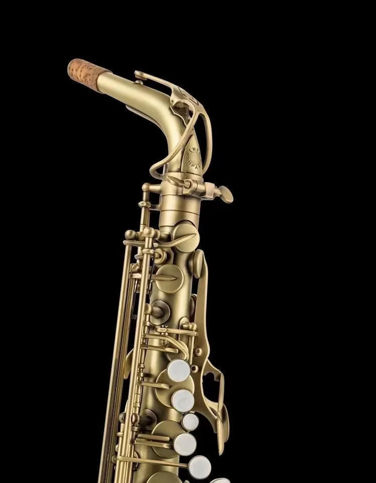 Antique style alto saxophone performance-54