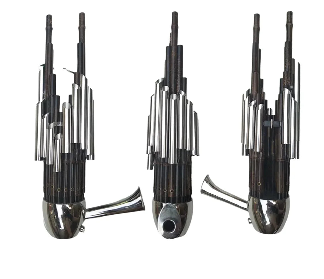 Sheng 17 reed with amplifier tube Chinese wind instrument