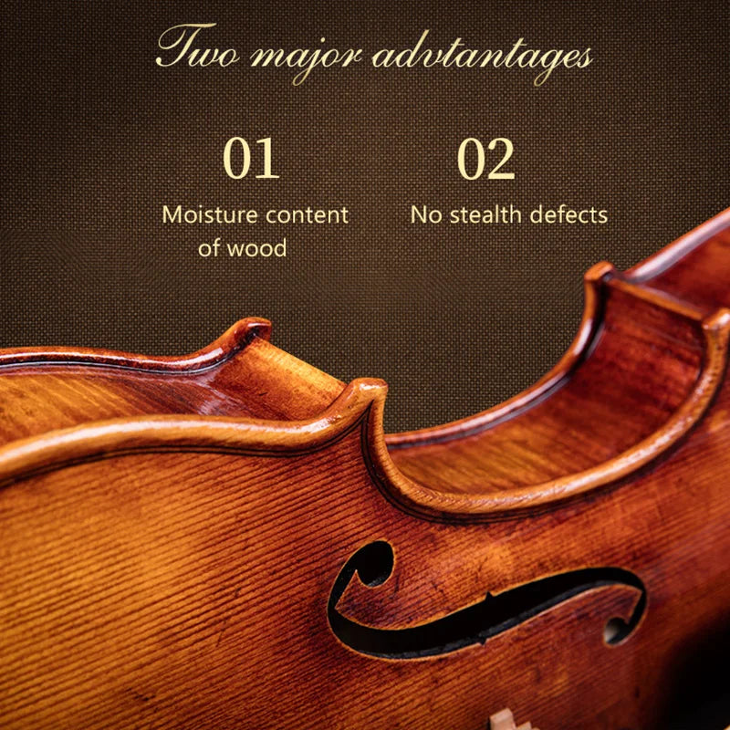Taishi  Guarnieri 1743 violin Vocational level 4/4 Violino Strad Real Vocational level Melhor performance