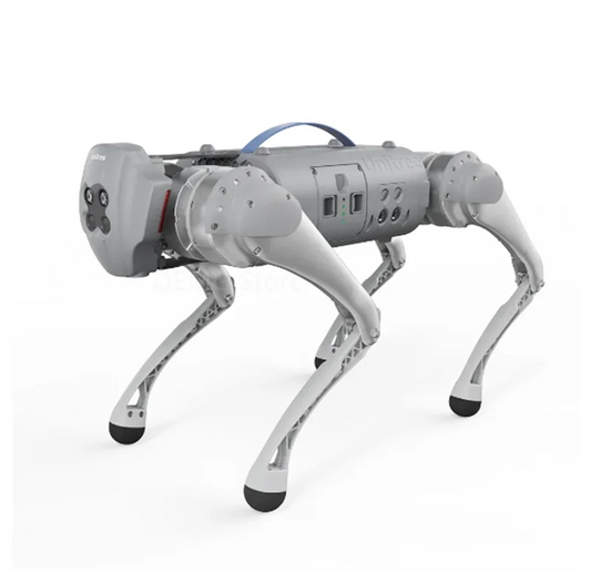 Technology Dog Unitree ArtificialIntelligence Accompanying BionicAccompanying Intelligent Robot Go1Quadruped Robot Dog