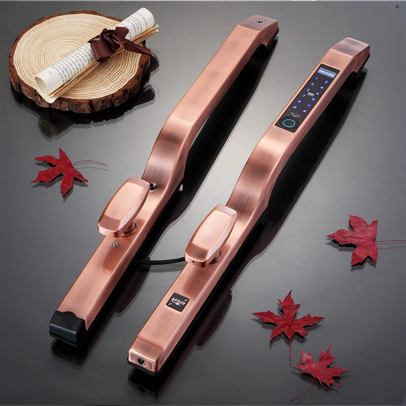 Tuya Wifi Push Pull Biometric Fingerprint Intelligent Digital Smart Door Lock