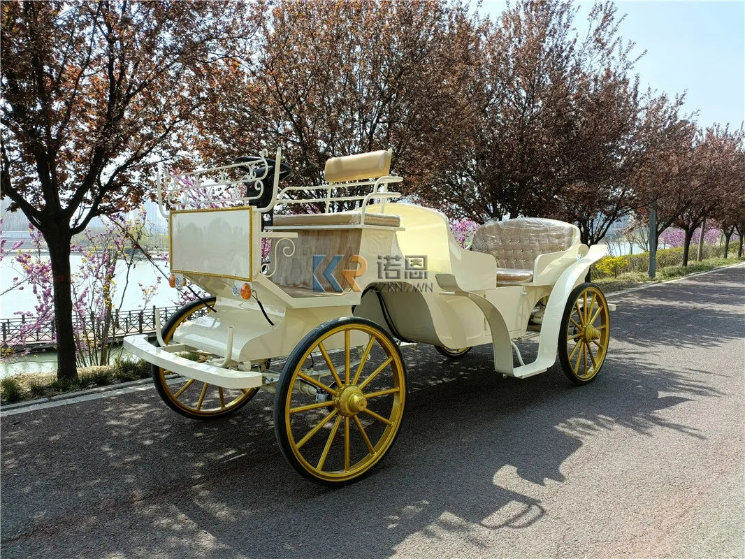 Victoria Royal Horse Drawn Wedding Horse Carriage Wagon Electric Horseless Carriage European Classical Sightseeing Cart