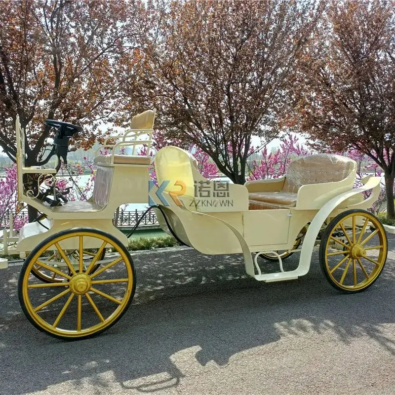 Victoria Royal Horse Drawn Wedding Horse Carriage Wagon Electric Horseless Carriage European Classical Sightseeing Cart