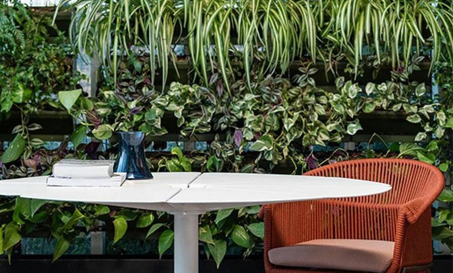 Vine Weaving Sofa, Tables, Chairs, Vine Chair Creative Petal Lotus Bedding Furniture, Garden Courtyard Waterproofing