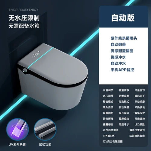 Wall mounted intelligent hidden water tank embedded wall row automatic toilet