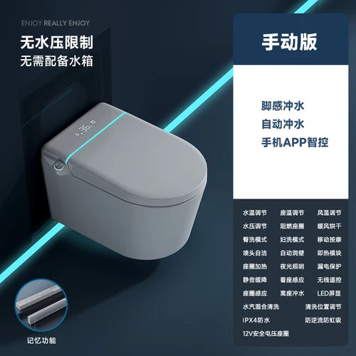 Wall mounted intelligent hidden water tank embedded wall row automatic toilet