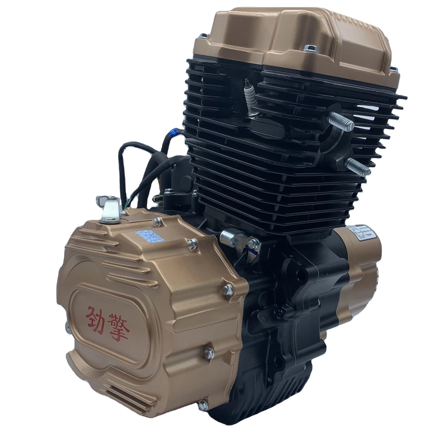 Water-cooled motorcycle engine