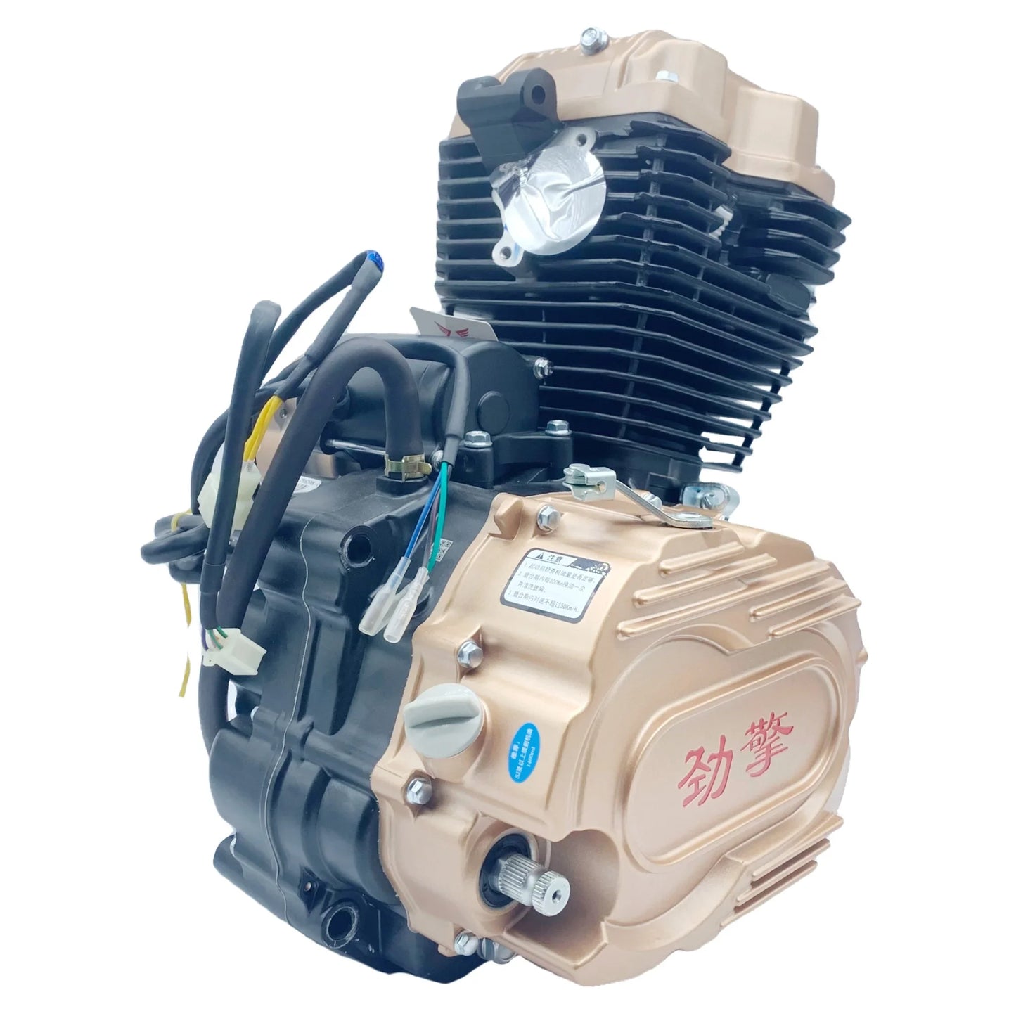 Water-cooled motorcycle engine