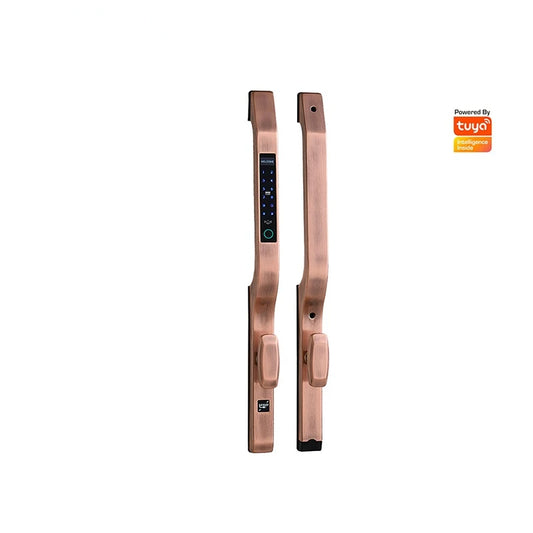 Wifi Push Pull Biometric Fingerprint Intelligent Digital Smart Door Lock