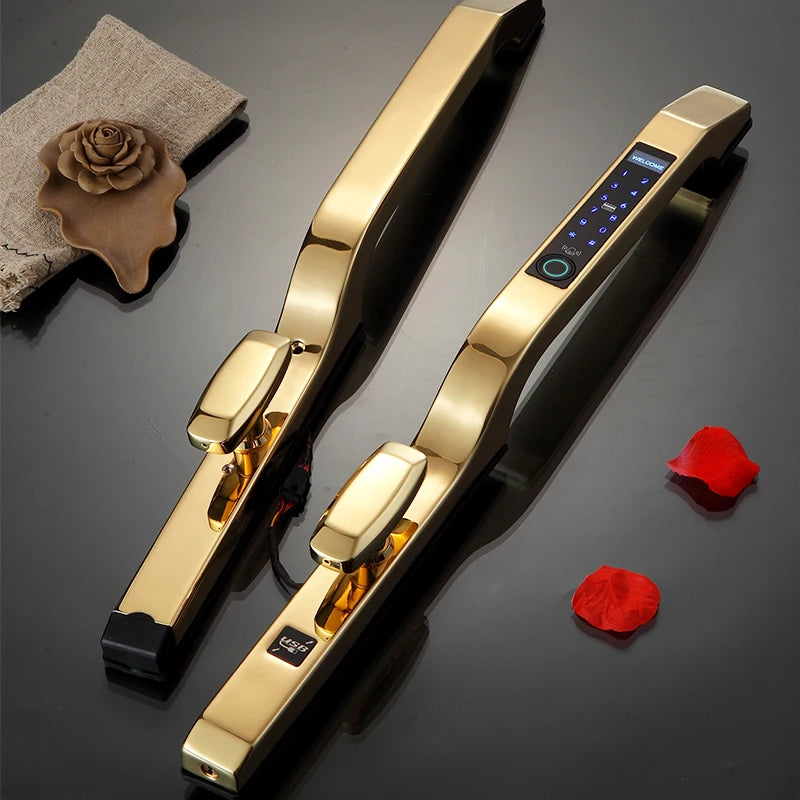 Wifi Push Pull Biometric Fingerprint Intelligent Digital Smart Door Lock