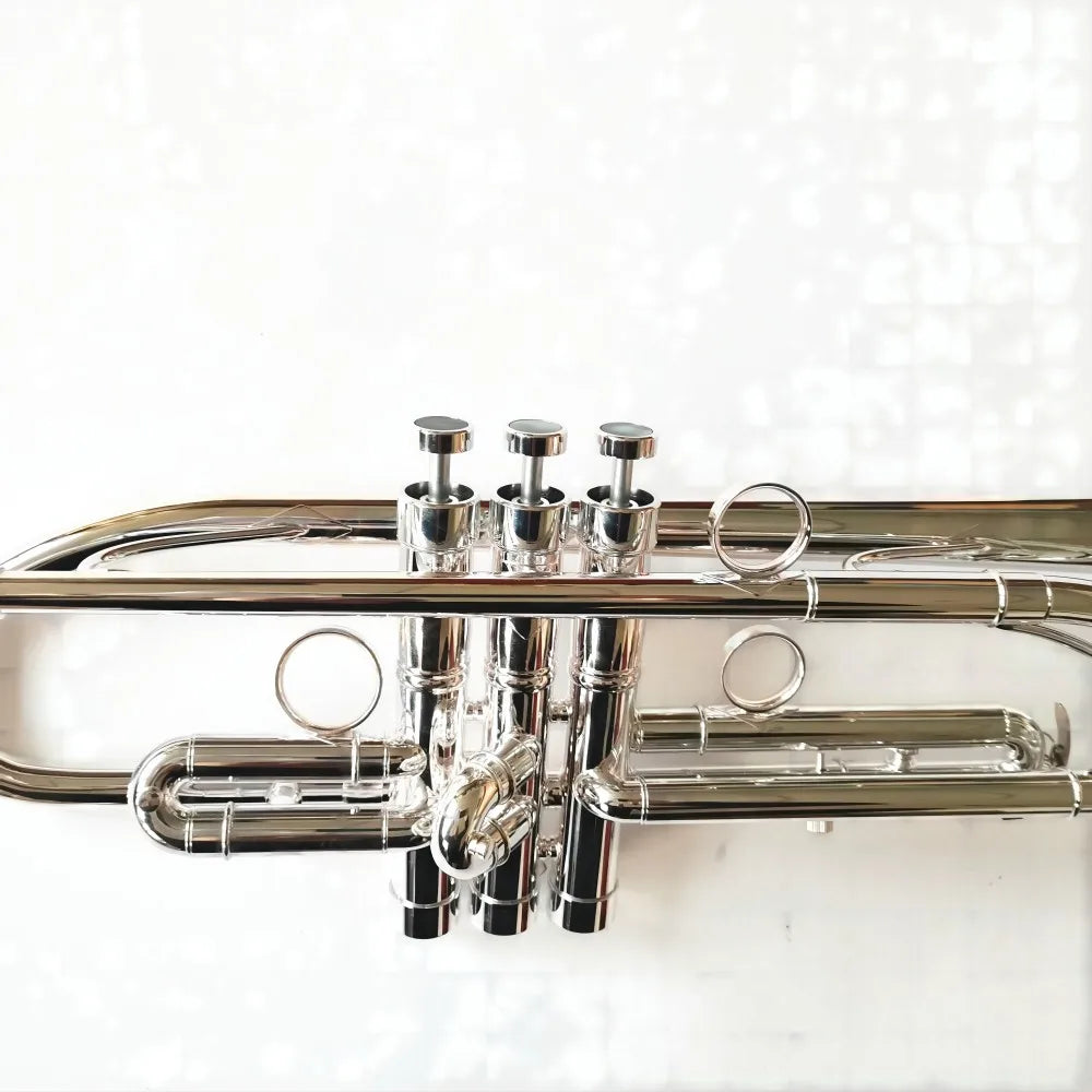 MMOOKA professional Bb trumpet with best quality case and all accessories